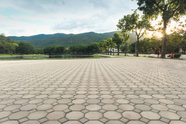 Best Commercial Driveway Pavers  in Davidson, NC
